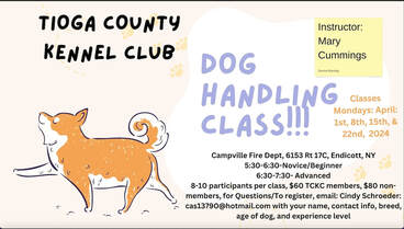 Kennel club training near me top